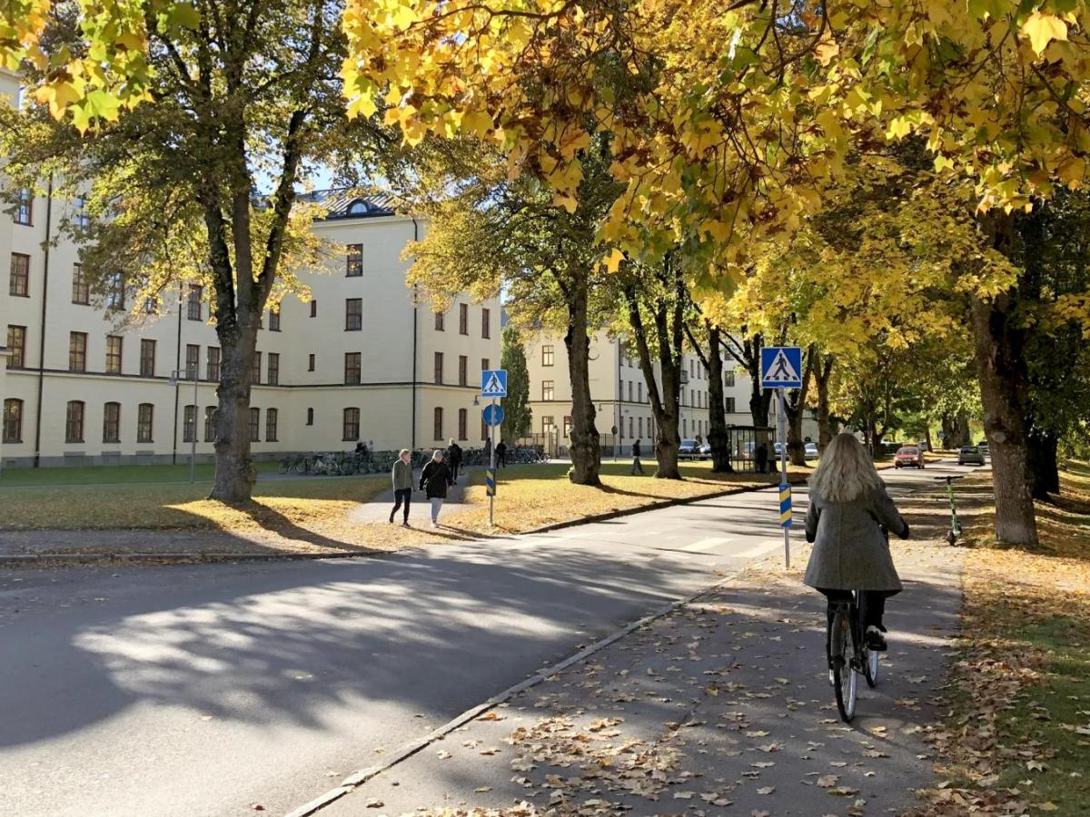 耶夫勒大学学院官网秋季校舍外景，仅作院校识别，不代表具体项目授课地点或出境要求。