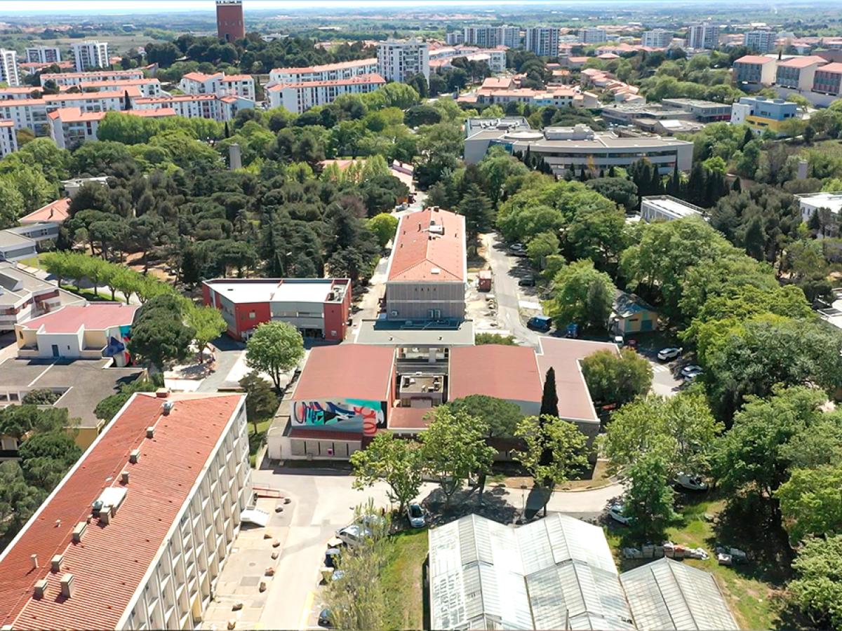 佩皮尼昂大学官网Moulin-&agrave;-Vent校区建筑群航拍实景，仅作院校识别，不代表具体项目授课地点或出境要求。