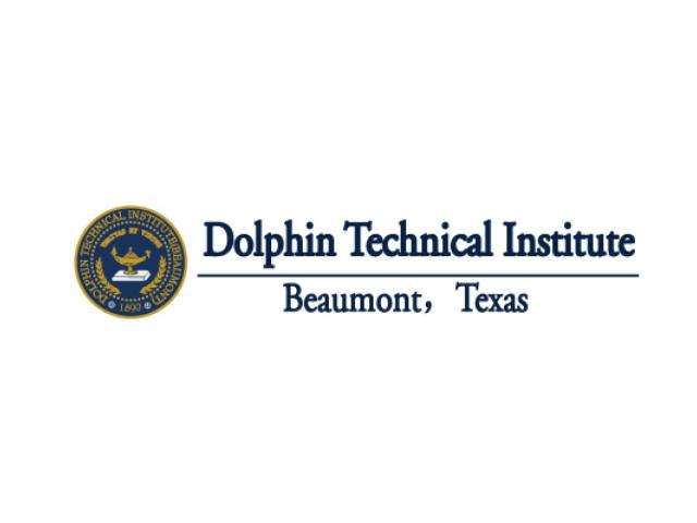 Dolphin Technical Institute 名义网站使用的市场标识；机构身份、历史沿革及博士授予资格待核，不代表校舍或认证。