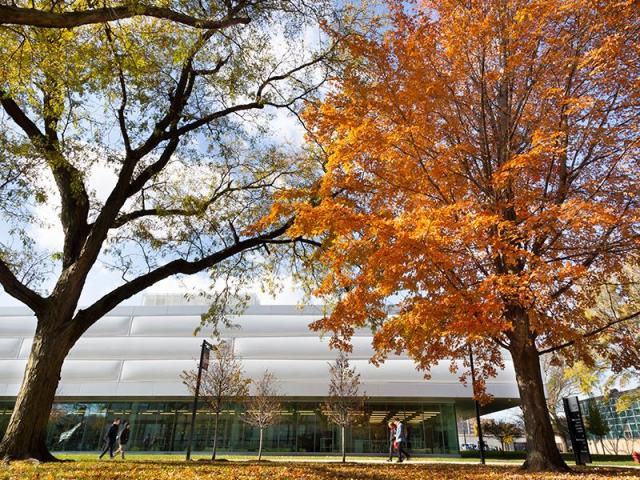 伊利诺伊理工大学官网Kaplan Institute秋季校园照片，仅作院校识别，不代表在线MBA实际授课地点或出境要求。