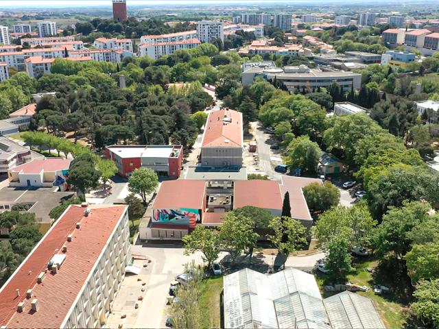 佩皮尼昂大学官网Moulin-&agrave;-Vent校区建筑群航拍实景，仅作院校识别，不代表具体项目授课地点或出境要求。